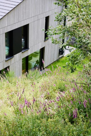 Sauerland Lodge - Haus Juliana